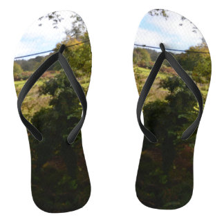 Tongs nature way of impersonating animals