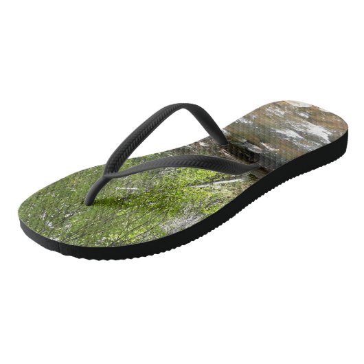 Tongs Oak Creek II à Sedona Arizona Photographie nature (Incliné)