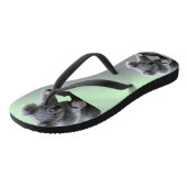 Tongs Ours de koala (Incliné)