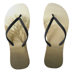 Tongs Ozarks Matin doré brumeux lever de soleil