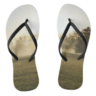 Tongs Ozarks Morning Fog