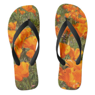 Tongs Papillons à lèvres de Californie