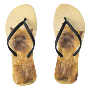 Tongs Peinture de Cairn Terrier - Cute Original Chien Ar