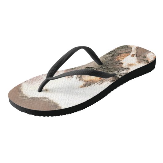 Tongs Peinture originale de chien sans cheveux en Chine (Incliné)