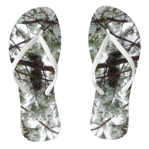 Tongs Photo hivernale sous le pin couvert de neige