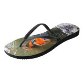 Tongs Poisson Koi dans un étang (Incliné)