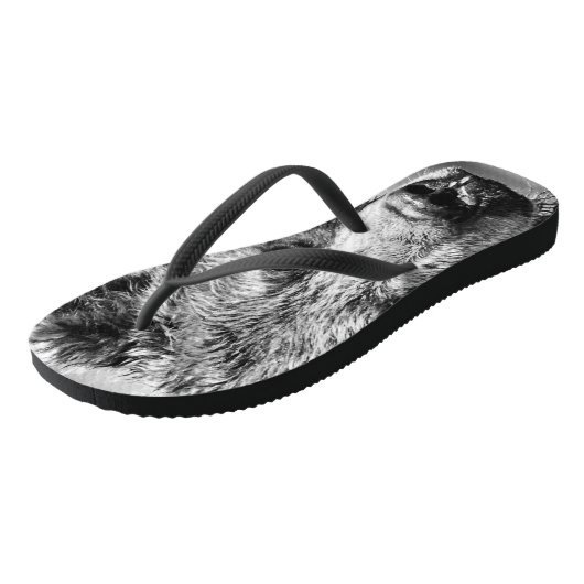 Tongs Portrait d'ours grizzli (Incliné)