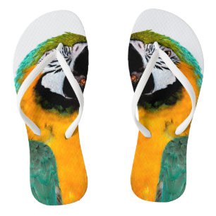 Tongs portrait turquoise d'oiseau de perroquet d'ara