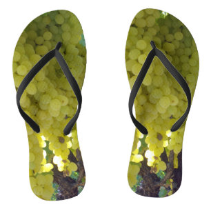 Tongs Raisins De Sultana Sur Une Vigne De Raisin,