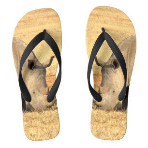 Tongs rhinocéros mignons en afrique