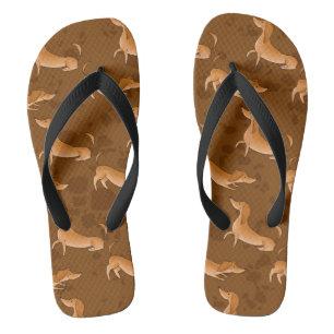 Tongs Sandales marron pour Dachshund