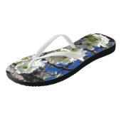 Tongs Spring Flowering Pear Tree (Incliné)