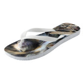 Tongs Tortoiseshell Kitten Watching Bugs, (Incliné)