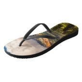 Tongs vallée de Matanuska, centre-sud de l'Alaska #2 (Incliné)