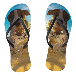 Tongs Votre Photo Ici - Flip Flops Photo Animaux Personn