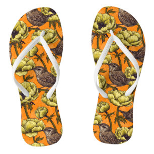 Tongs Wrens dans le jardin d'anémones jaunes