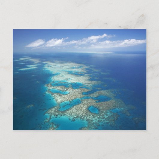 Tongue Reef, Great Barrier Reef Marine Park Briefkaart (Voorkant)