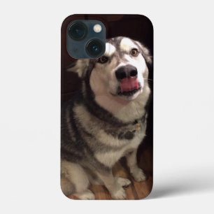 Tongue Teasing Alaskan Malamute Photogram iPhone 13 Mini Hoesje