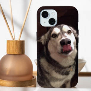 Tongue Teasing Alaskan Malamute Photogram