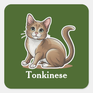 Tonkinees Vierkante Sticker