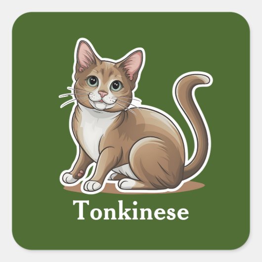 Tonkinees Vierkante Sticker (Voorkant)