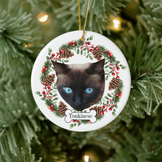 Tonkinese kat keramisch ornament (Boom)