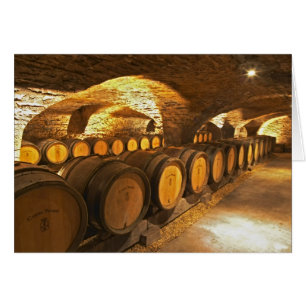 Tonneaux de chêne dans la cave au Domaine Comte