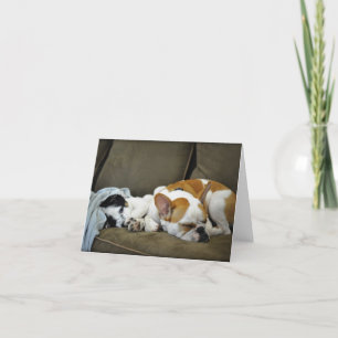 Tonnez les cartes de voeux de bouledogue