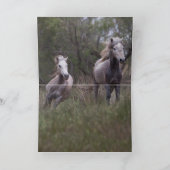 Tons de gris - Carte de voeux pour les chevaux (Intérieur)