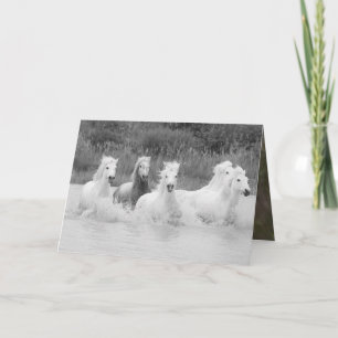 Tons de gris - Carte de voeux pour les chevaux