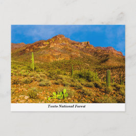 Tonto National Forest Briefkaart