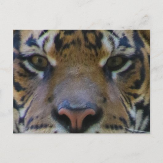 Tony Briefkaart (Voorkant)