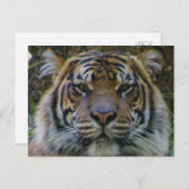 Tony Briefkaart (Voorkant / Achterkant)