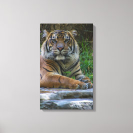 Tony Canvas Afdruk
