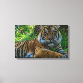 Tony Canvas Afdruk