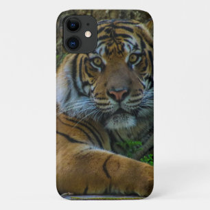 tony iPhone 11 hoesje