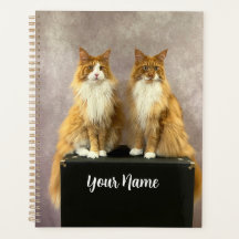 Tony et Teddy Standard Planner
