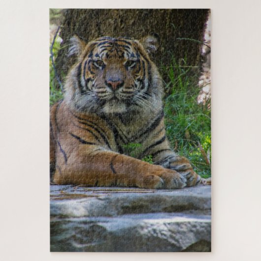 Tony Legpuzzel (Verticaal)