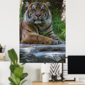 Tony Poster (Thuiskantoor)