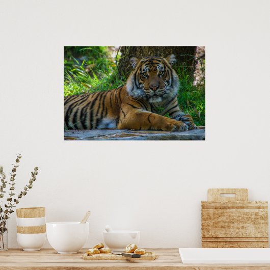 Tony Poster (Keuken)