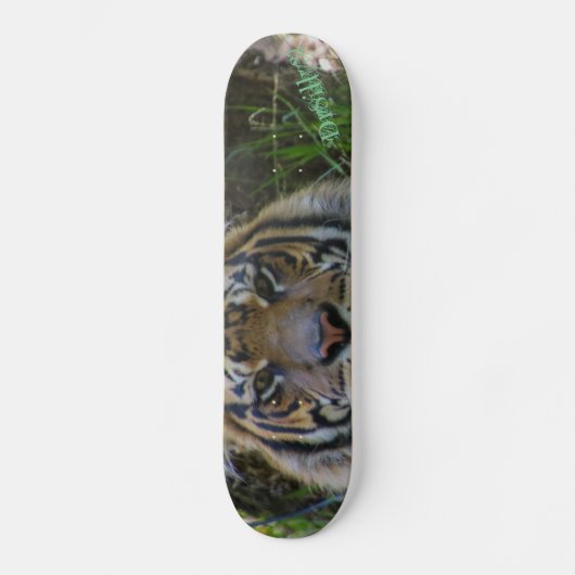 Tony Skateboard (Voorkant)