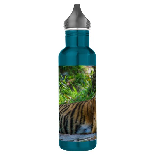 TONY WATERFLES  (Links)