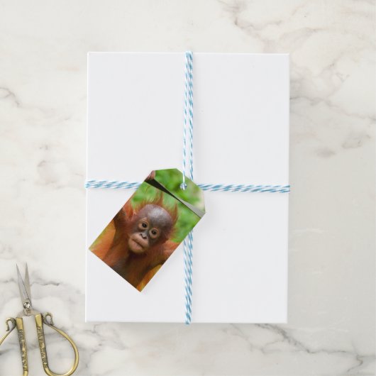 Too Cute to Handle – Little Orangutan Cadeaulabel (Met Touw)