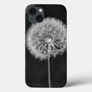 Toon aan zaad iPhone 13 hoesje