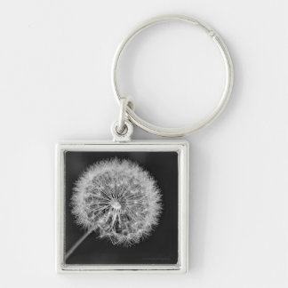 Toon aan zaad sleutelhanger