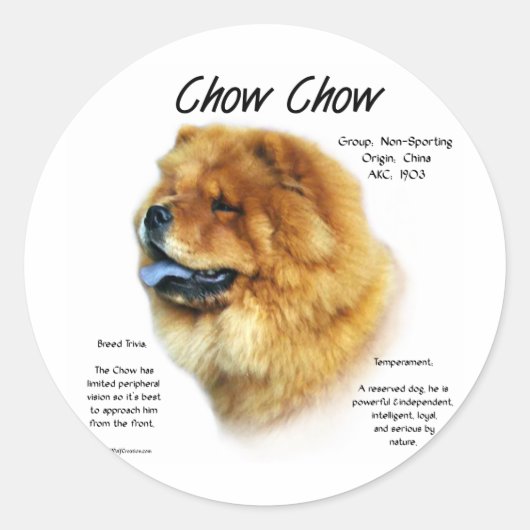 Toon Geschiedenis Ontwerp Ronde Sticker (Voorkant)