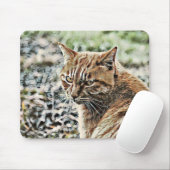 toonkat muismat (Met muis)