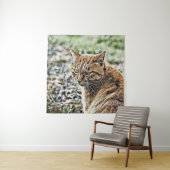 toonkat wandkleed (In situ)