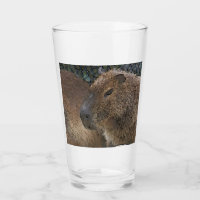 toony Capibarah
