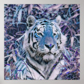 Toony Tiger blue Poster (Voorkant)